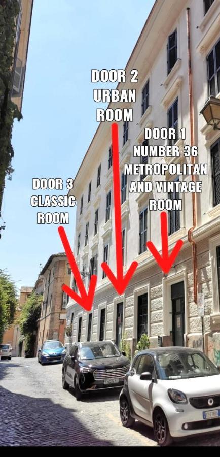 רומא Trastevere Glasshouse מראה חיצוני תמונה